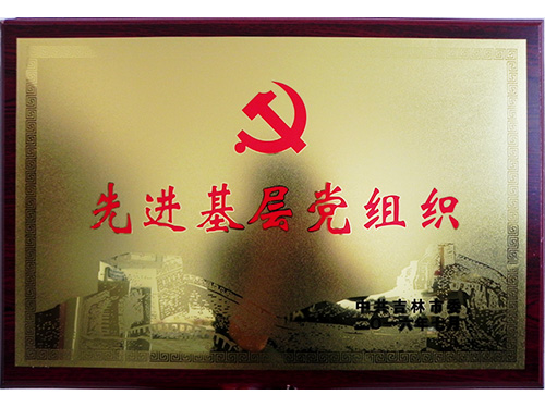 資質(zhì)榮譽(yù)